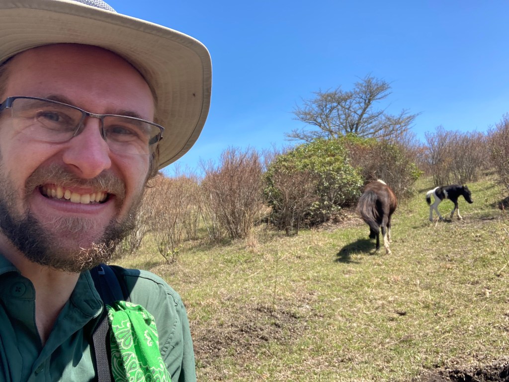 Southern VA, Part I: The Grayson Highlands and An Unexpected Party