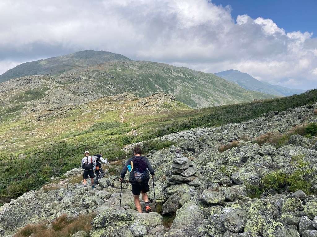 New Hampshire, Part II: The Wild, Wonderful Whites